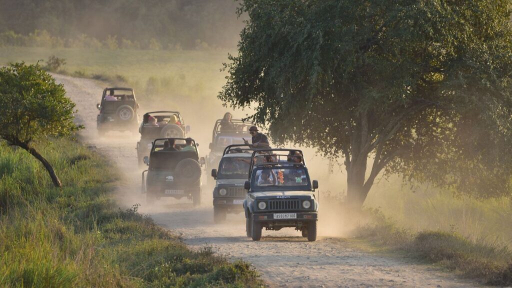 5 Hidden Places to Visit Near Kaziranga You Didn’t Know About